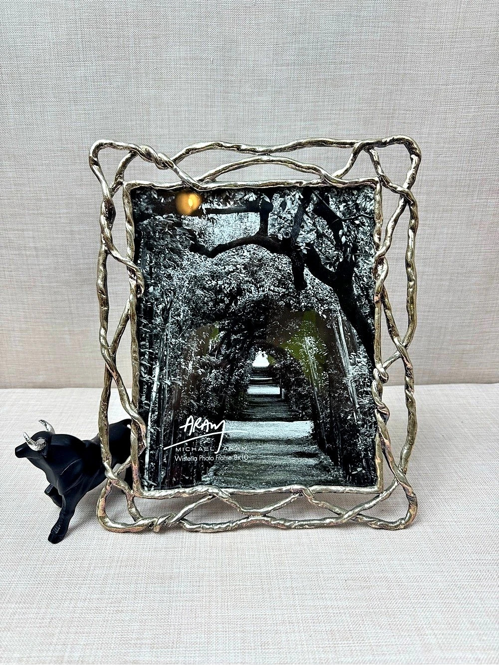 Michael Aram Wisteria Photo Frame 8x10 Silver & Black